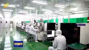 太平洋光电加快光通讯芯片量产步伐，打造5G时代新产业高地